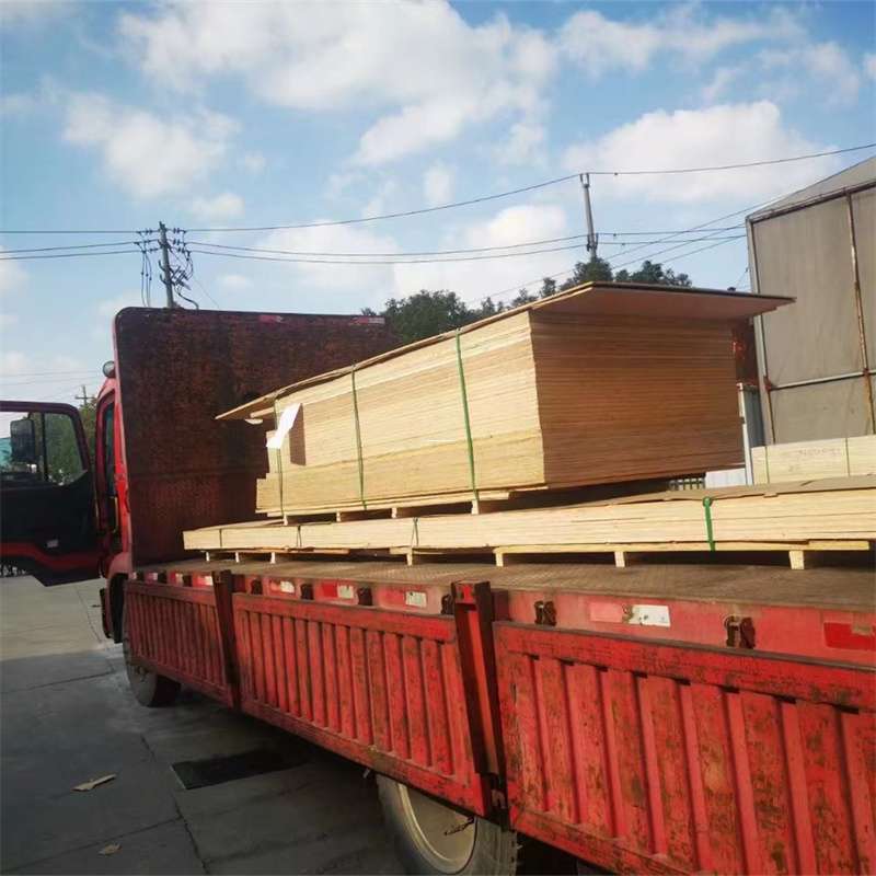 山西忻州静乐县至塔城货运专线，一站式物流服务助您成功